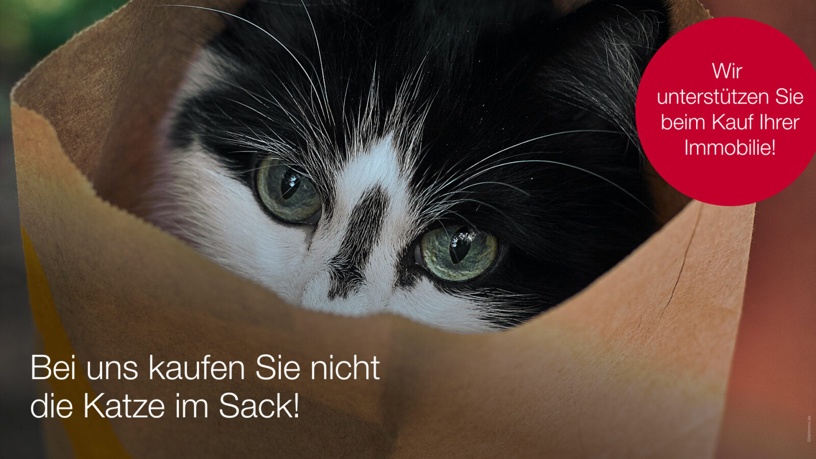 Bei uns kaufen Sie nicht die Katze im Sack