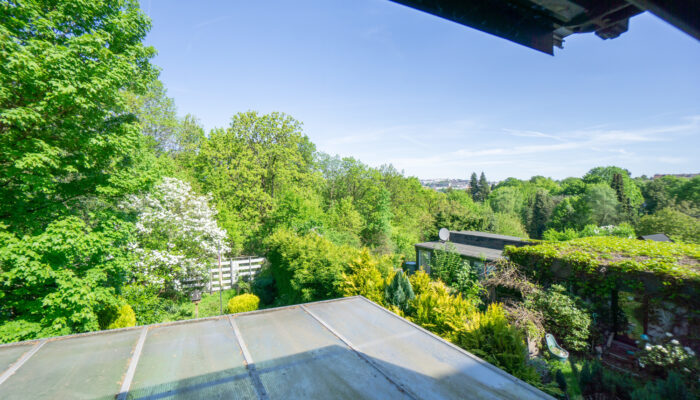 EG Ausblick WIntergarten