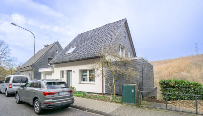 Ansicht (2)